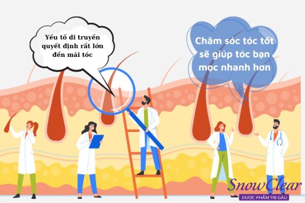 Một tháng tóc dài bao nhiêu cm còn phụ thuộc cơ địa mỗi người