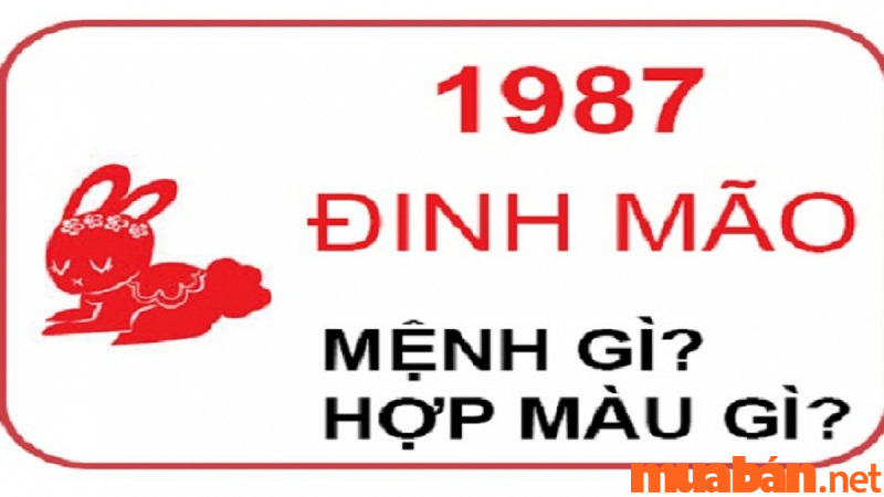 1987 mệnh gì?