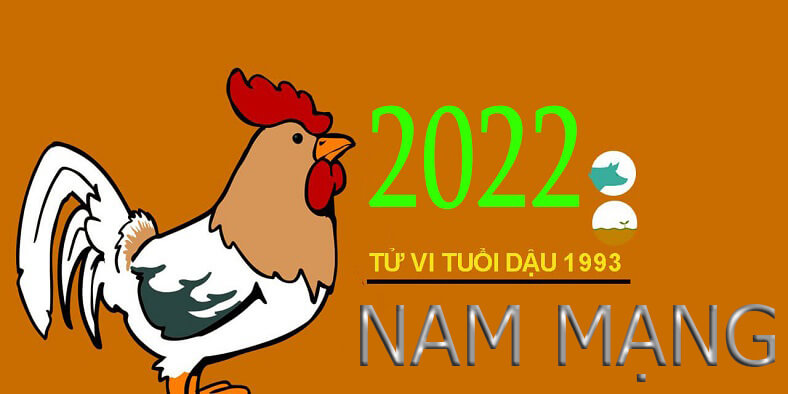 Tử vi tuổi Quý Dậu 1993 nam mạng năm 2022