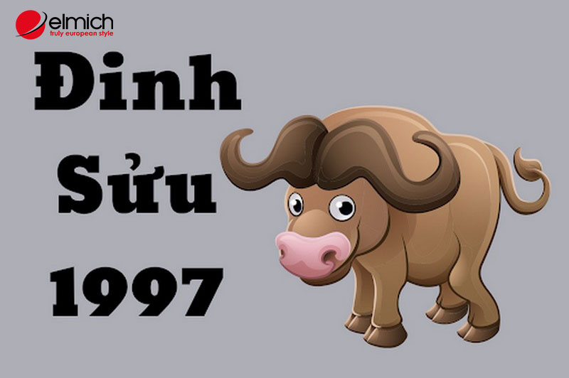 Hình 5: Nữ 2003 nên lấy chồng tuổi Đinh Sửu