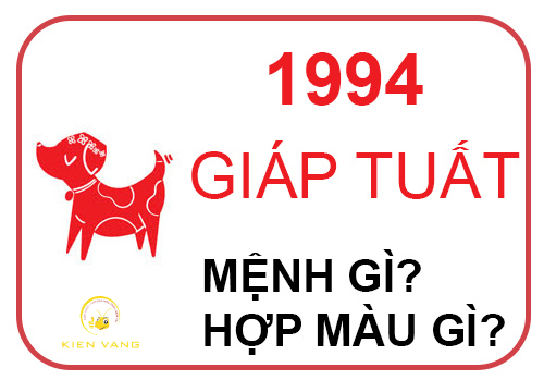 29 Tuổi Là Tuổi Con Gì