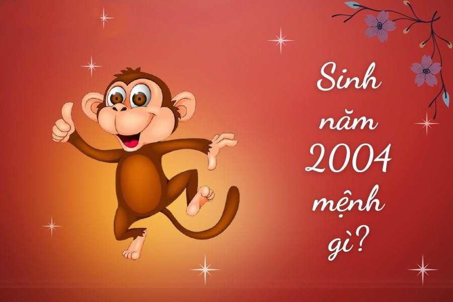 Sinh năm 2004 mệnh gì?