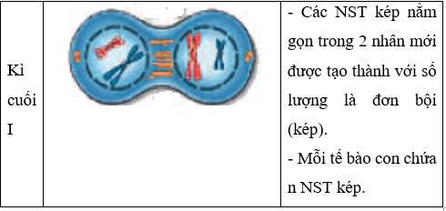 Lý thuyết Sinh học 9 Bài 10: giảm phân (ảnh 1)