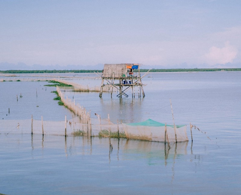 Cồn Nổi - Vẻ đẹp thiên nhiên hoang sơ