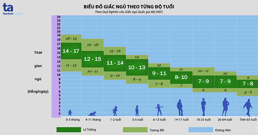 bieu do giac ngu