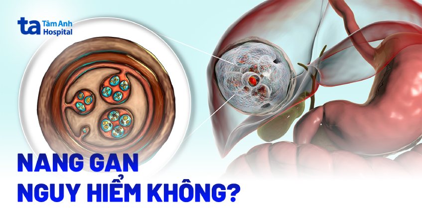 nang gan có nguy hiểm không