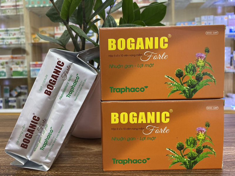 Thuốc giải độc gan Boganic có tốt không? Khi nào nên giải độc cho gan? 4