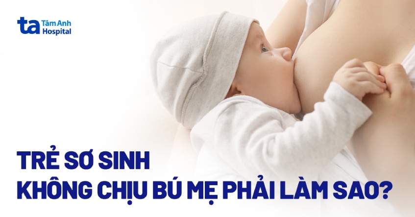 Trẻ sơ sinh không chịu bú mẹ phải làm sao