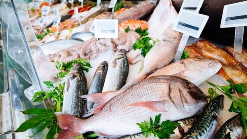 Cá béo - Oily fish là cá gì? Các loại cá béo và lưu ý khi chọn mua cá béo