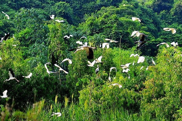 Địa điểm du lịch Ninh Bình