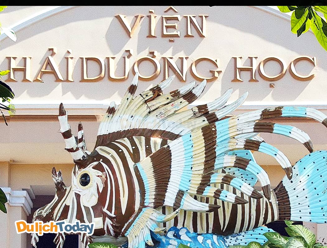 Vui chơi tại suối khoáng nóng I resort