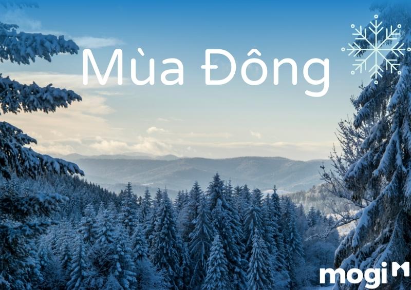 Mùa đông