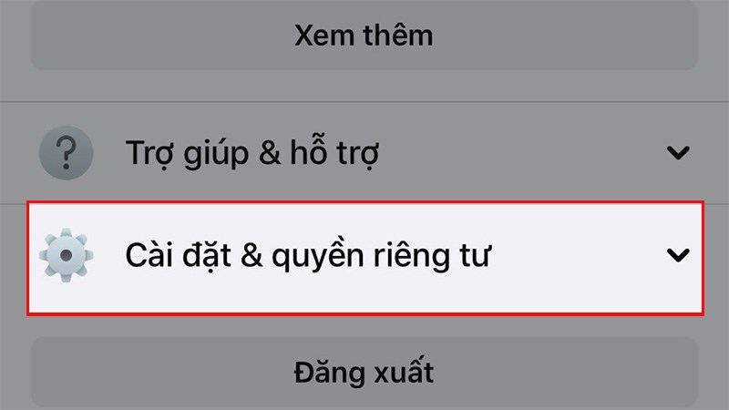 Chọn Cài đặt & quyền riêng tư