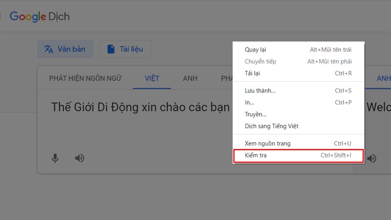 Chuyển sang tiếng Việt và nhập nội dung cần chuyển thành giọng chị Google