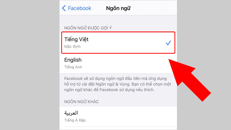 Cài đặt ngôn ngữ Tiếng Việt