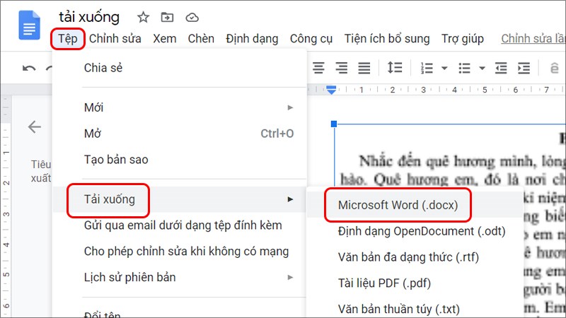 Chỉnh sửa và Tải xuống dưới dạng Microsoft Word (docx)