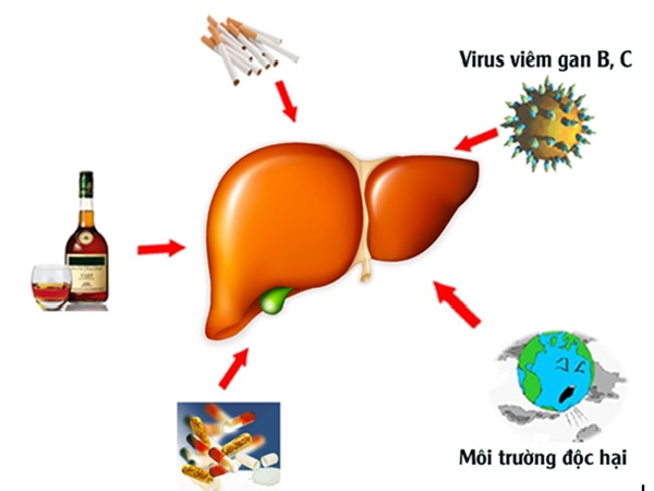 Gan thô có phục hồi được không