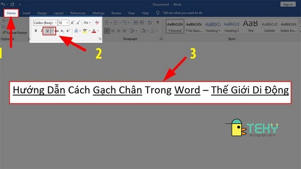 Cách gạch chân trong word