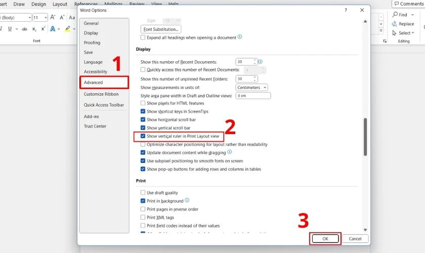 Đánh dấu vào ô Show vertical ruler in Print Layout view