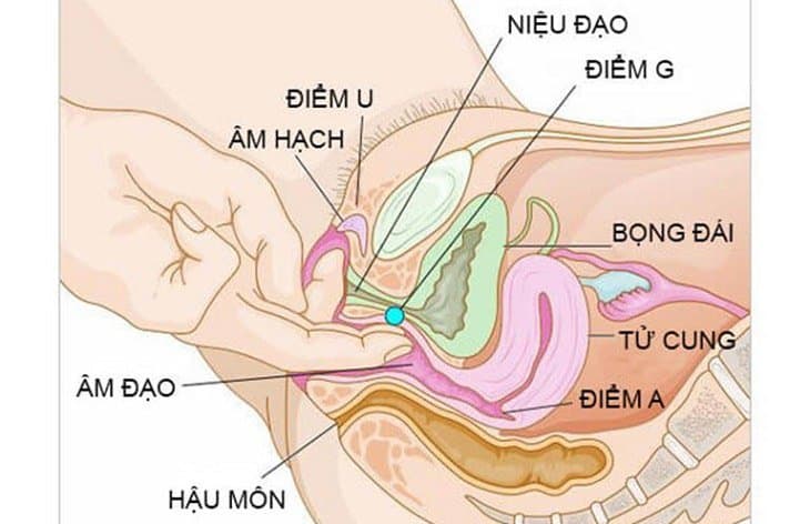 chỗ nhạy cảm của con gái nằm ở đâu