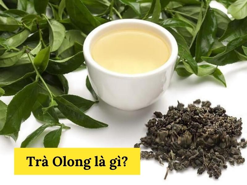 Tìm hiểu về trà Ô long