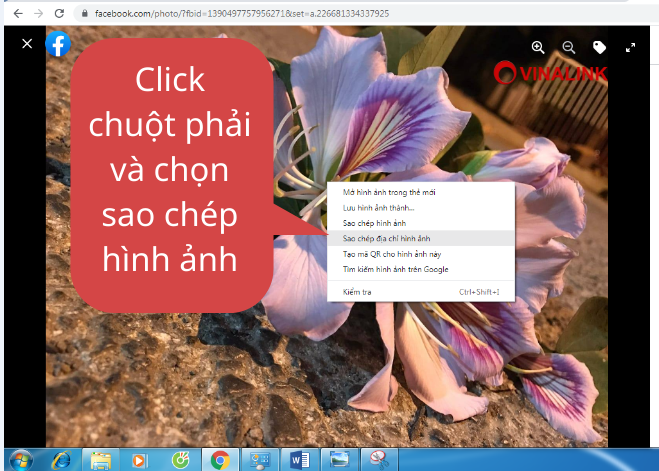 Cách lấy link hình ảnh trên facebook bằng máy tính