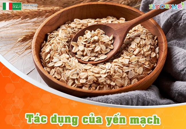 Yến mạch cung cấp lượng lớn dinh dưỡng cho trẻ