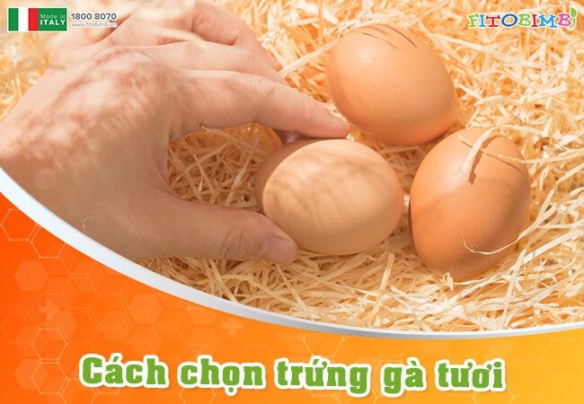 Mẹo chọn trứng gà còn tươi cho mẹ