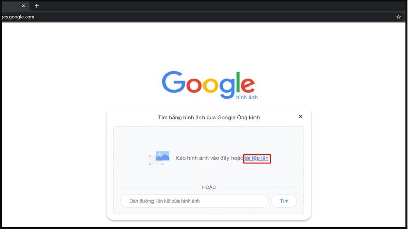 Vào ứng dụng Google và chọn biểu tượng Camera