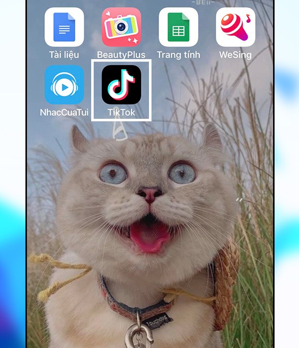 Mở ứng dụng tiktok