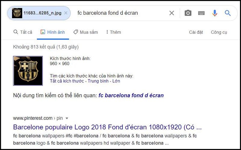 Kết quả tìm kiếm từ tìm kiếm bằng hình ảnh.