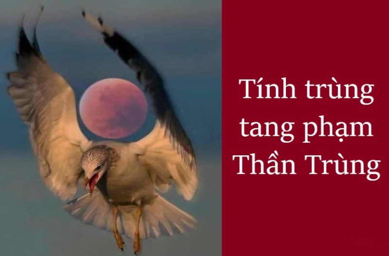 cách tính trùng tang liên táng