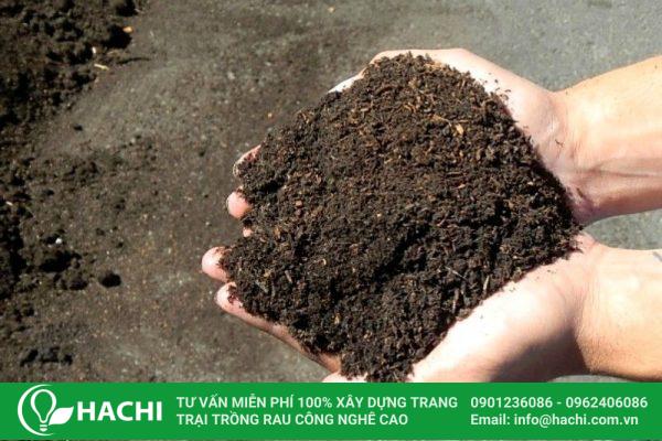 Chuẩn bị đất khi tiến hành theo cách trồng sen Nhật thủy canh