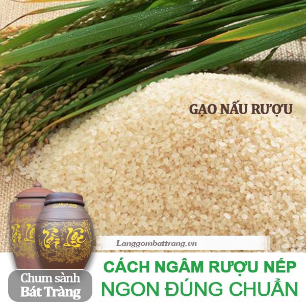 Cách nấu rượu nếp đúng chuẩn hương vị thơm ngon đặc trưng