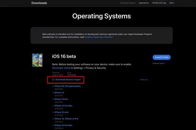 Cài đặt iOS 16 beta