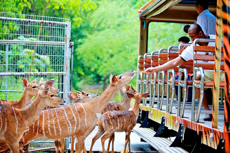 Sở thú Safari World