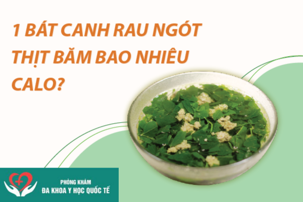 1 bát canh rau ngót thịt băm bao nhiêu calo (1)