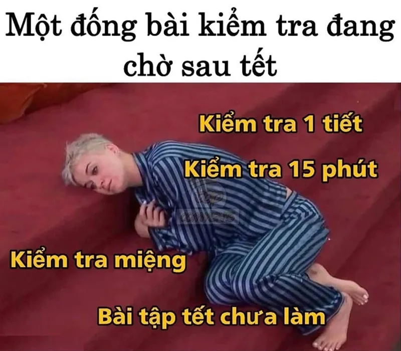 49 bài thơ, meme, stt hết Tết rồi -