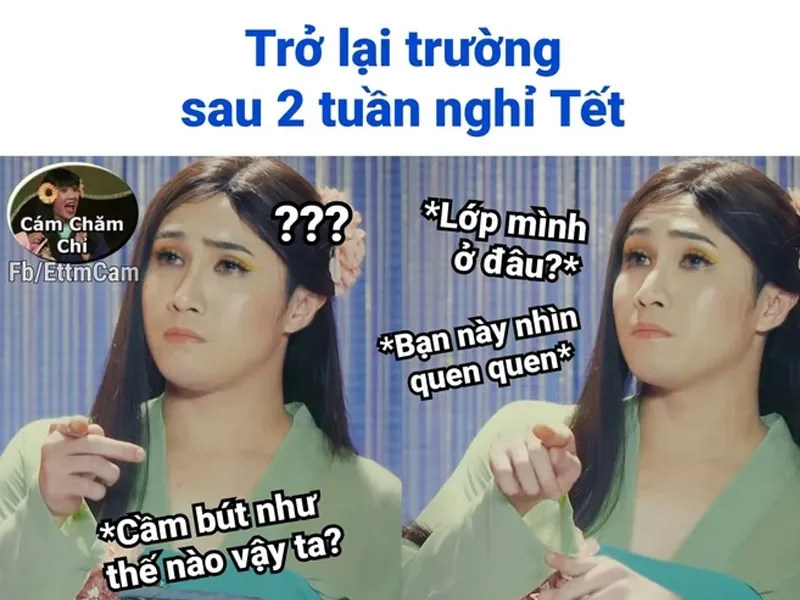 49 bài thơ, meme, stt hết Tết rồi -