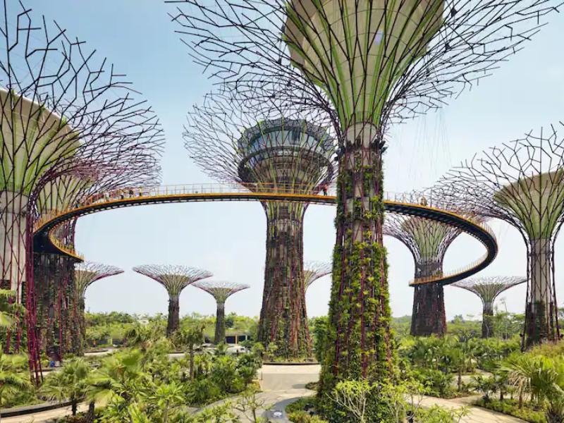 Gardens by the Bay