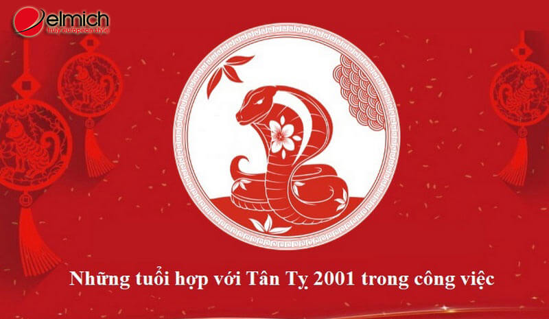 Hình 3: Những tuổi hợp với Tân Tỵ 2001 trong công việc