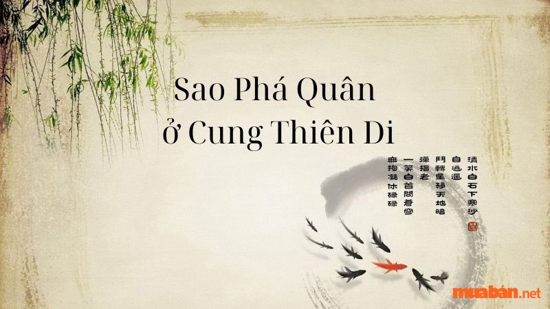 Sao Phá Quân ở Cung Thiên Di