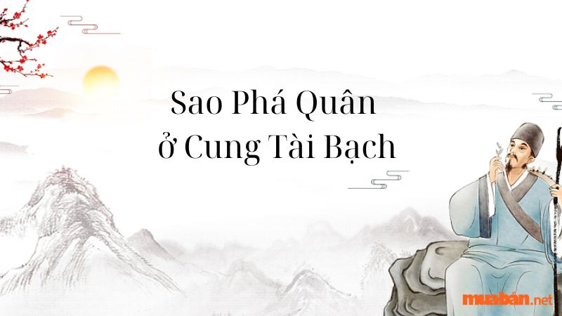 Sao Phá Quân ở Cung Tài Bạch