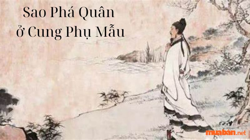 Sao Phá Quân ở Cung Phụ Mẫu