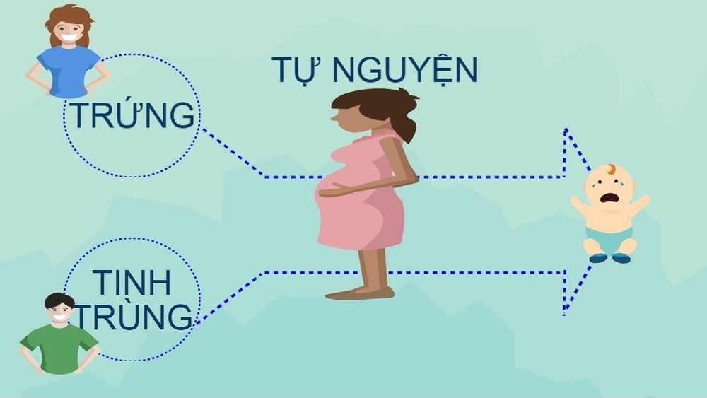 Mang thai hộ chi phí cao,phức tạp về mặt pháp lý