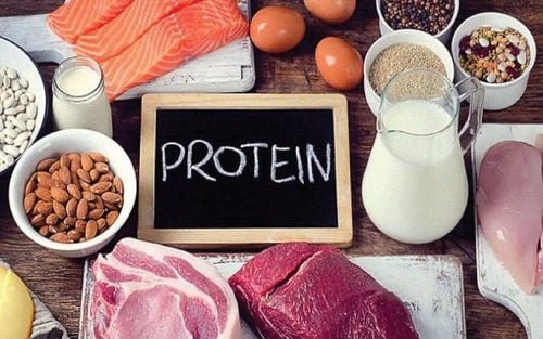 Protein giúp xây dựng cơ bắp