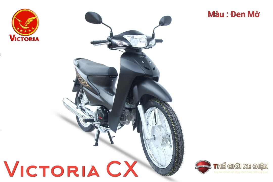 Xe máy 50cc Wave Victoria Việt Nhật