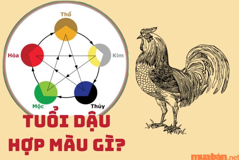 Người tuổi Dậu kỵ màu nào, hợp màu nào?