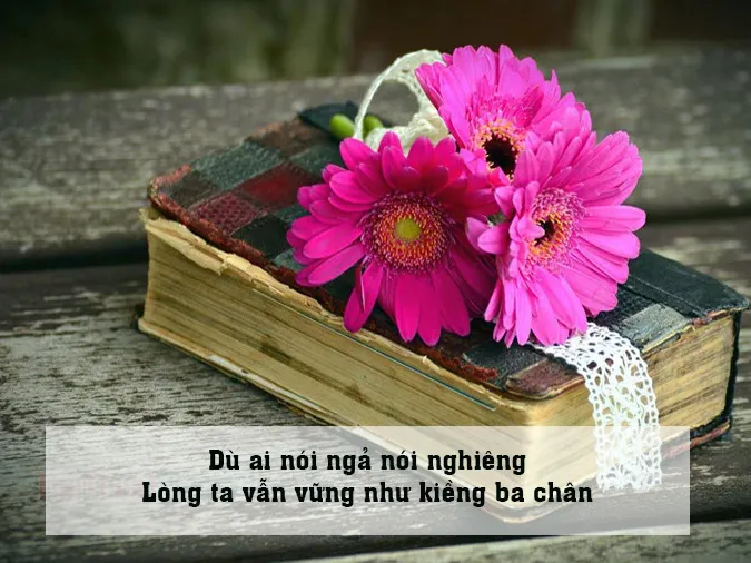 Giải thích câu thành ngữ “đẽo cày giữa đường” 3