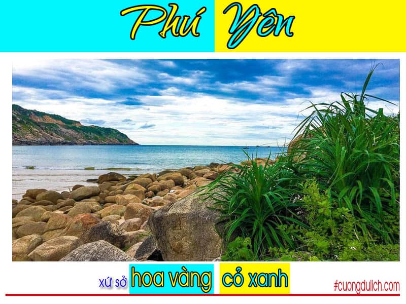 bai-mon-mui-dien-phu-yen